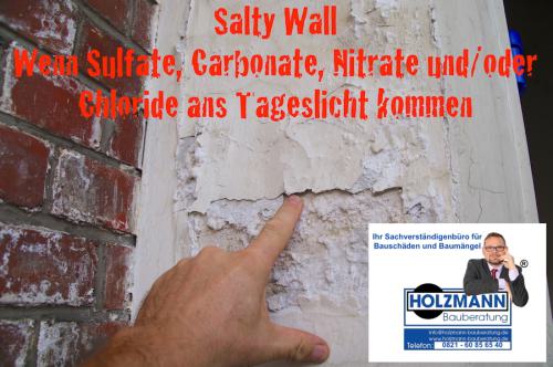 Bauschadigende-Salze-Salzausbluhungen-Sulfate-Carbonate-Nitrate-Chloride-Baugutachter-Bausachverstandiger