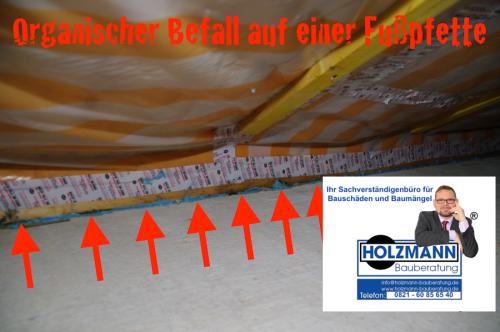 Organischer-Befall-Fuspfette-Schimmelpilz-Dachstuhl